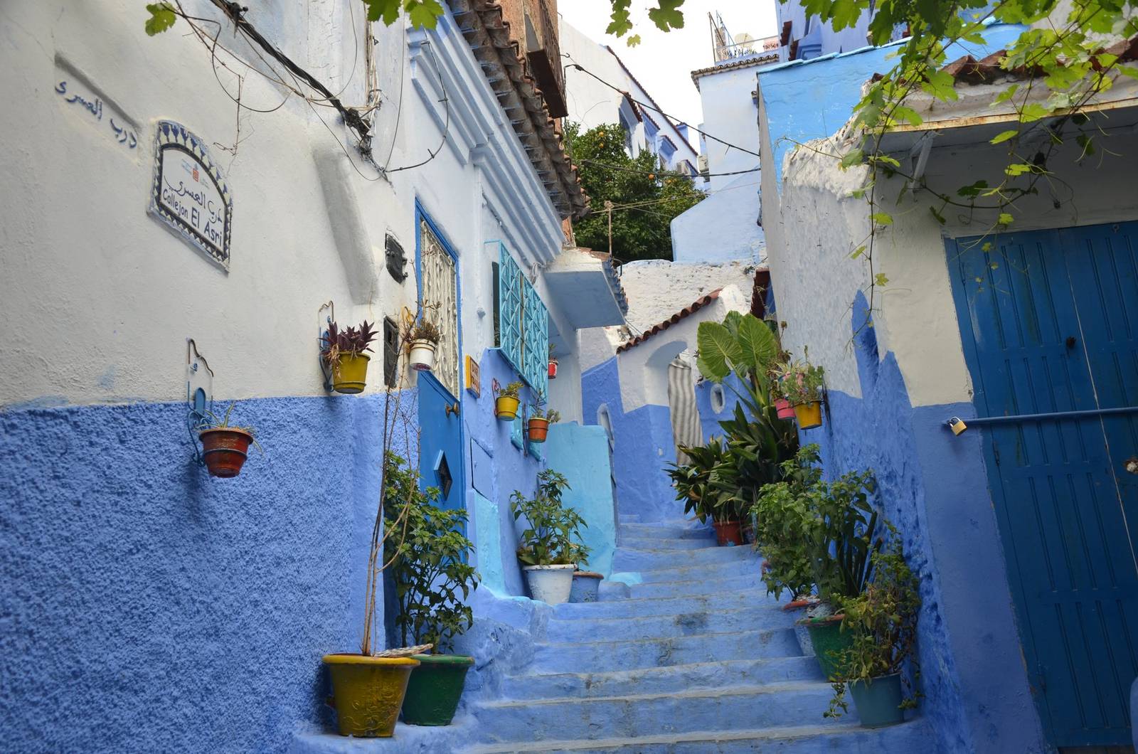 A quiet blue lane with potted plants in Chefchaouen