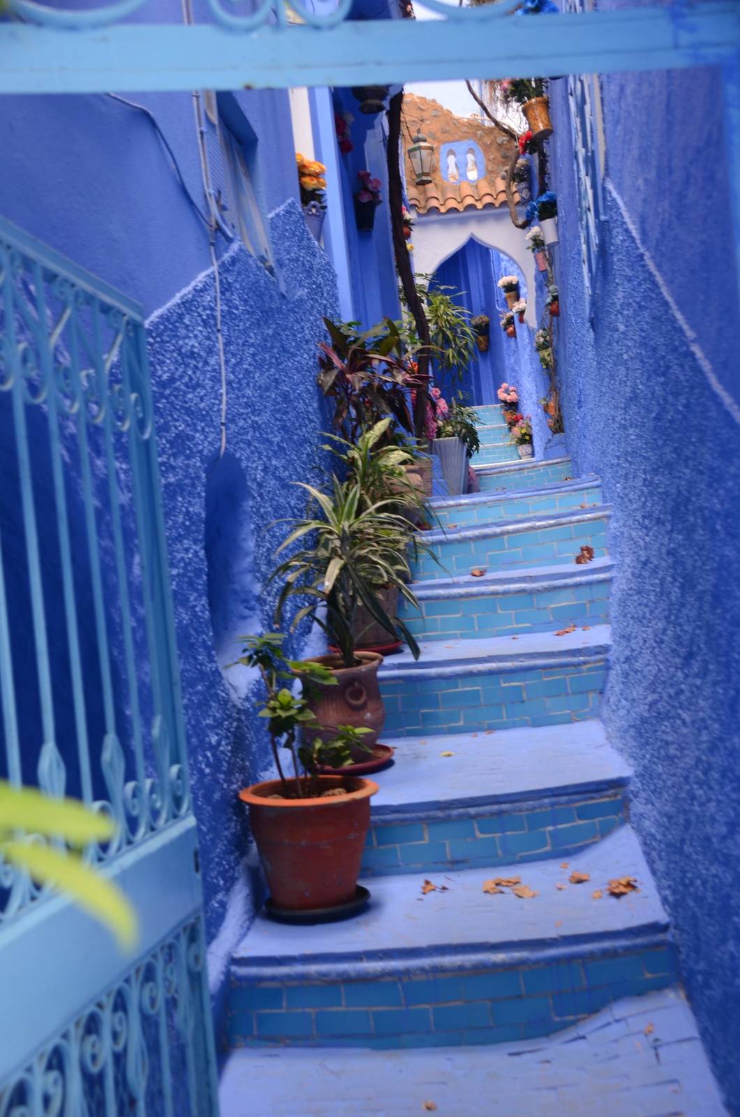 A blue stairway lined with flowerpots in Chefchaouen